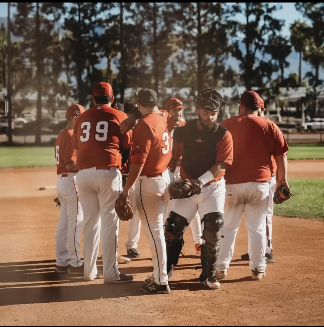 Coach Rocky Baseball coach