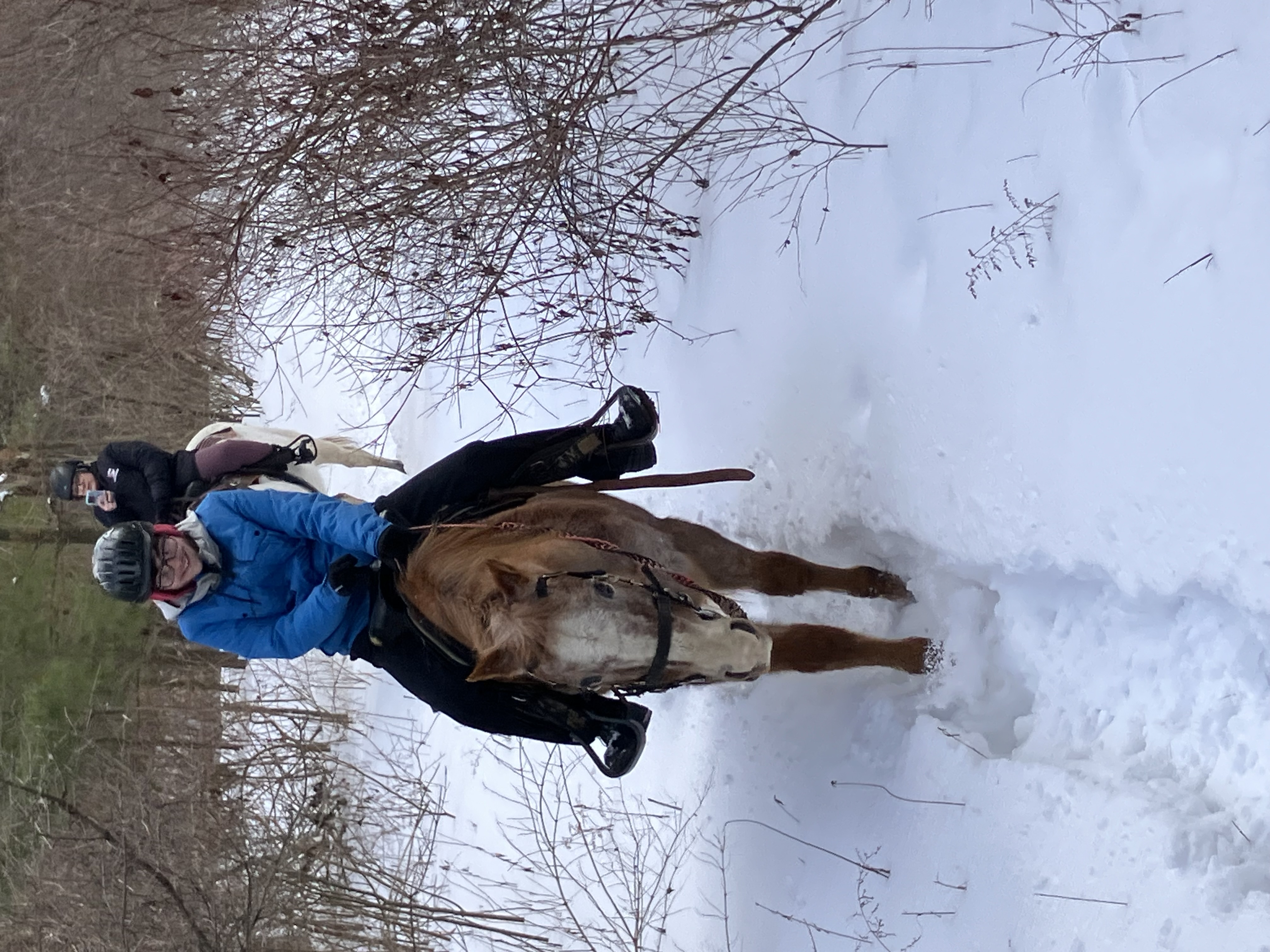 Coach Mac Swimming coach